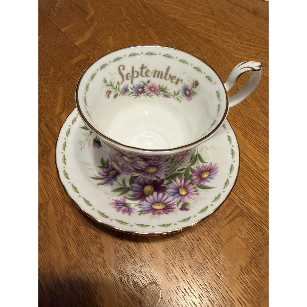 Vintage Royal Albert September Michaelmas Daisy Bone China Cup & Saucer MINT